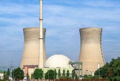 Berlin ostrzega Polskę przed kosztami elektrowni atomowych