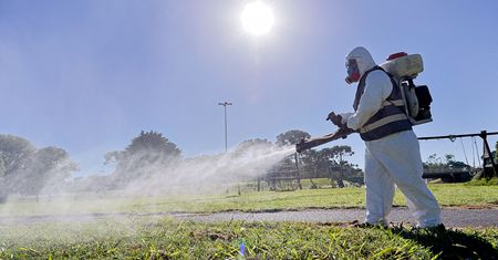 Epidemia w Argentynie. Wszyscy liczą na środki z Polski