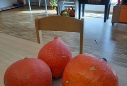 Złodzieja dyń ruszyło sumienie. Nocą podrzucił łup pod przedszkole