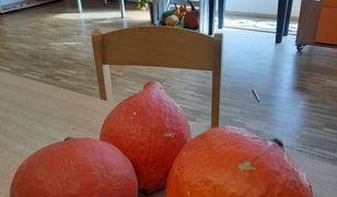 Złodzieja dyń ruszyło sumienie. Nocą podrzucił łup pod przedszkole