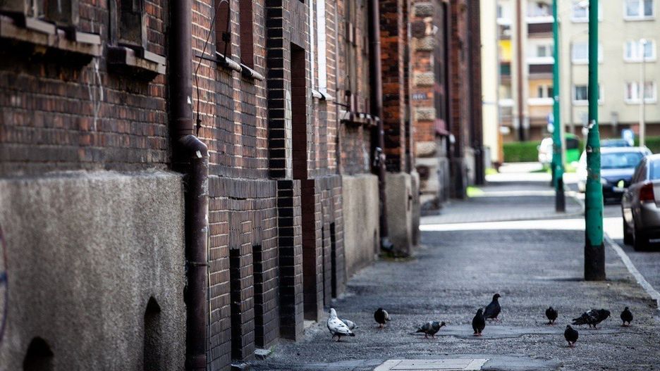 Dzielnicy Lipiny odczarowana? Tak twierdzi prezydent Świętochłowic