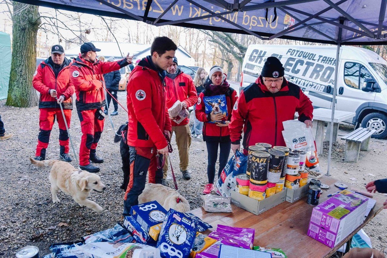 Biegiem po karmę w Żarach