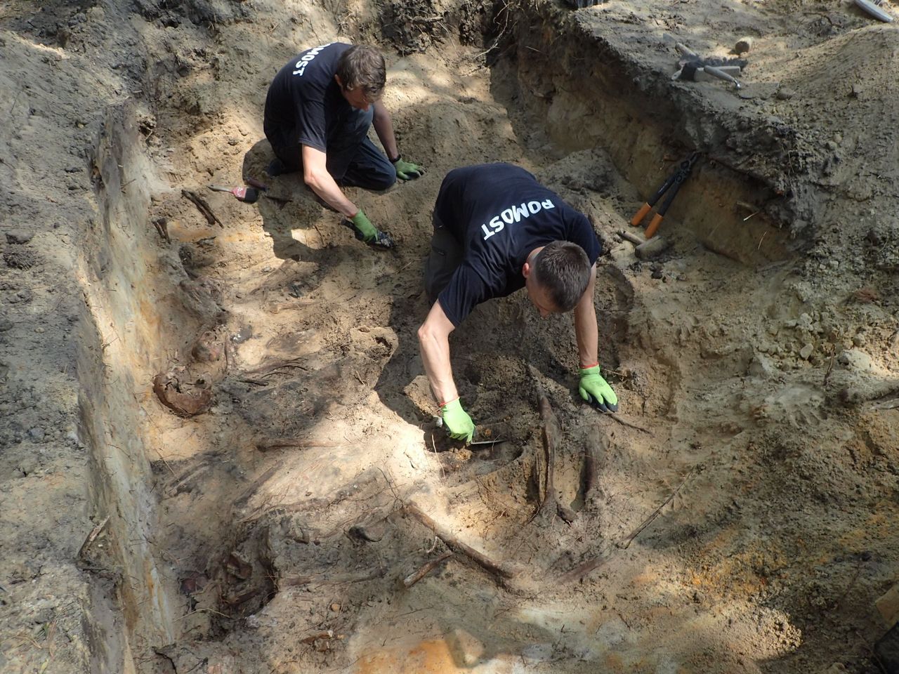 Archeolodzy z pracowni "Pomost" koncentrują się na mogiłach z czasów II wojny światowej. To ostatnia chwila na rozwikłanie tajemnic wielu takich miejsc