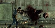 Fallout 3 na PS3 - albo po polsku, albo z trofeami