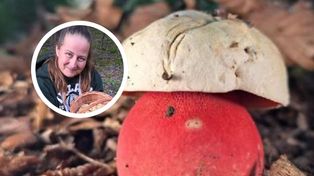 Grzyboznawcy chwalą się jego zdjęciem. Spotkanie z nim w lesie wywołuje dreszcze