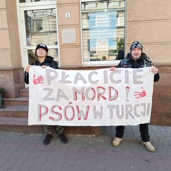 Poznań: Aktywiści protestowali przeciw zabijaniu psów w Turcji i futrom w polskich sklepach