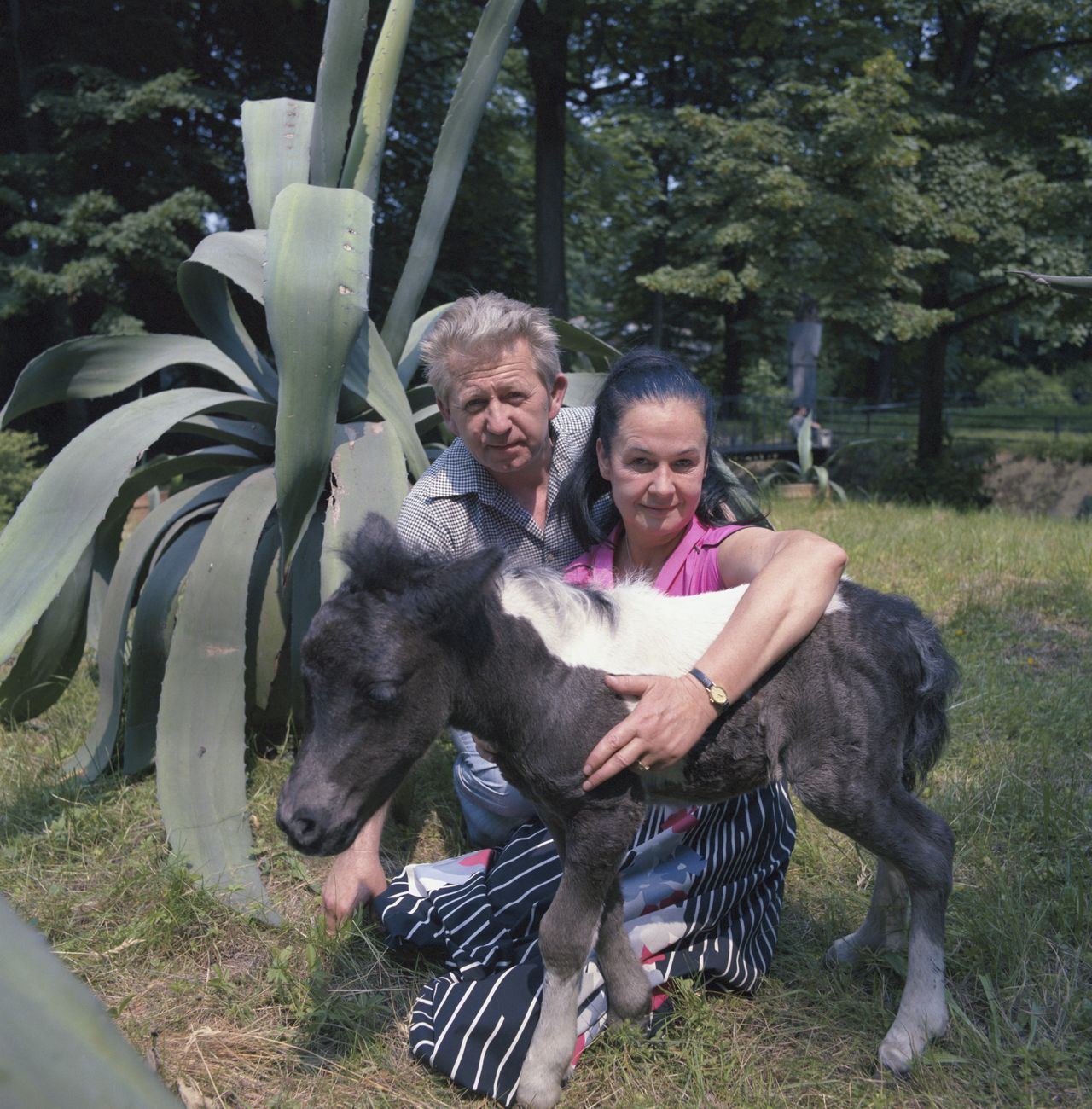 Hanna i Antoni Gucwińscy we wrocławskim zoo