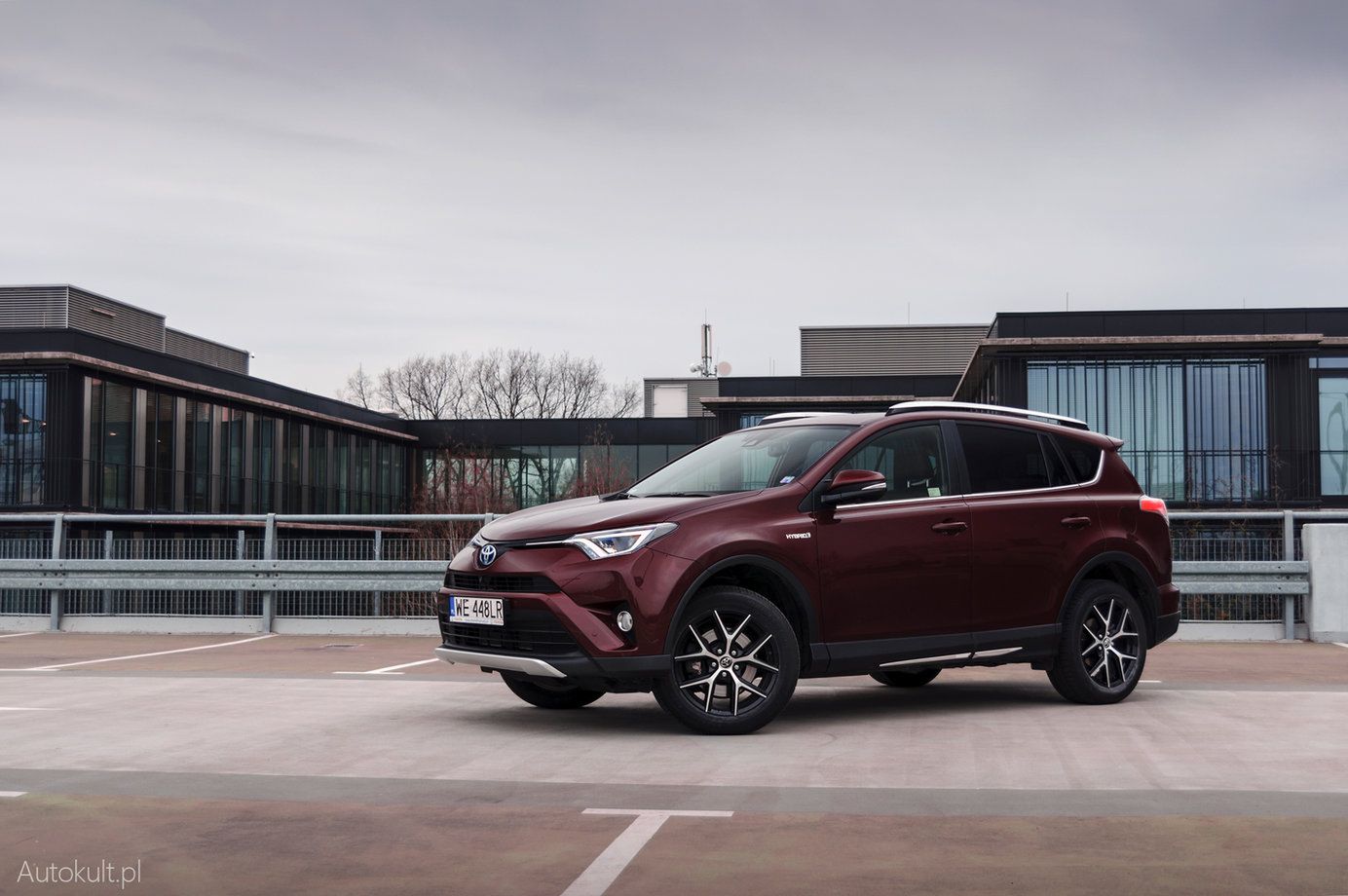 Toyota RAV4 jest jednym z najpopularniejszych suv-ów w Polsce