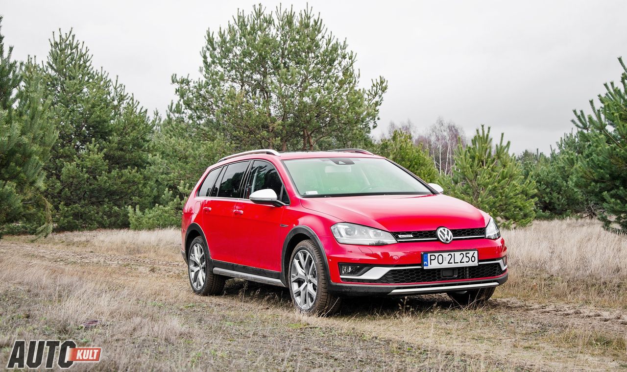 Volkswagen Golf VII Alltrack 2.0 TDI 4MOTION 184 KM DSG - test, opinia, spalanie, cena