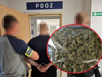 Ponad 5 kg marihuany przejęte w Jaśle. 25-latek tymczasowo aresztowany