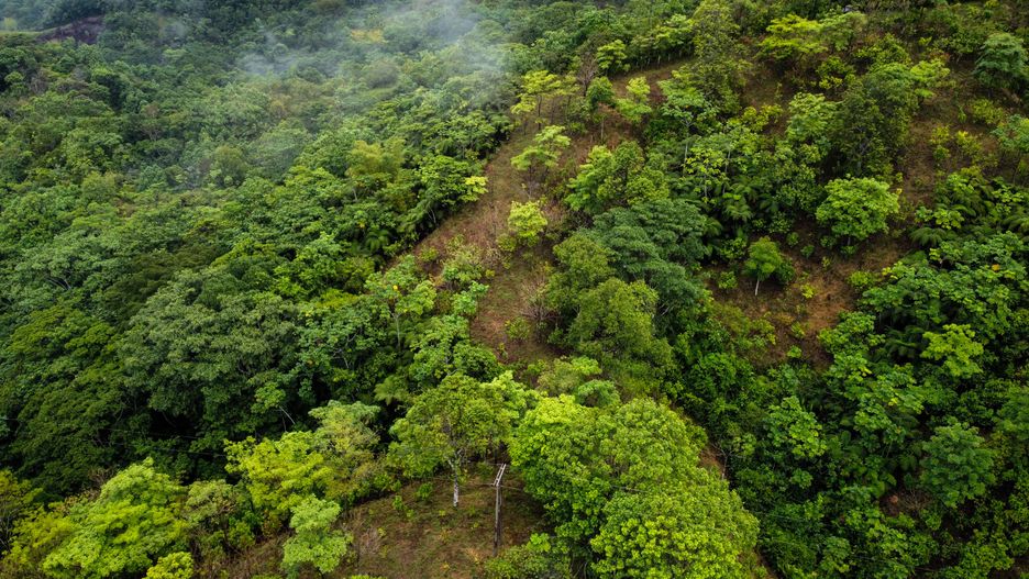 FLORENCIA, COLOMBIA - FEBRUARY 28: An aerial view of the piedmont, a region in Caqueta, which is essential for its mega biodiversity, multiculturalism, and variety of ecosystems in Florencia, Colombia on February 28, 2023. Itâs part of the Andean-Amazonian piedmont (foothills) one of the areas with the greatest wealth of water in Colombia. A large number of streams and rivers âsuch as the Orteguaza, Caguan and Yariâ are born and converge there, tributaries of large rivers such as the Caqueta, which belongs to the Amazon basin, lung of the planet. (Photo by Juancho Torres/Anadolu Agency via Getty Images)