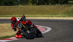 Potwór jeszcze ostrzejszy. Oto Ducati Monster SP