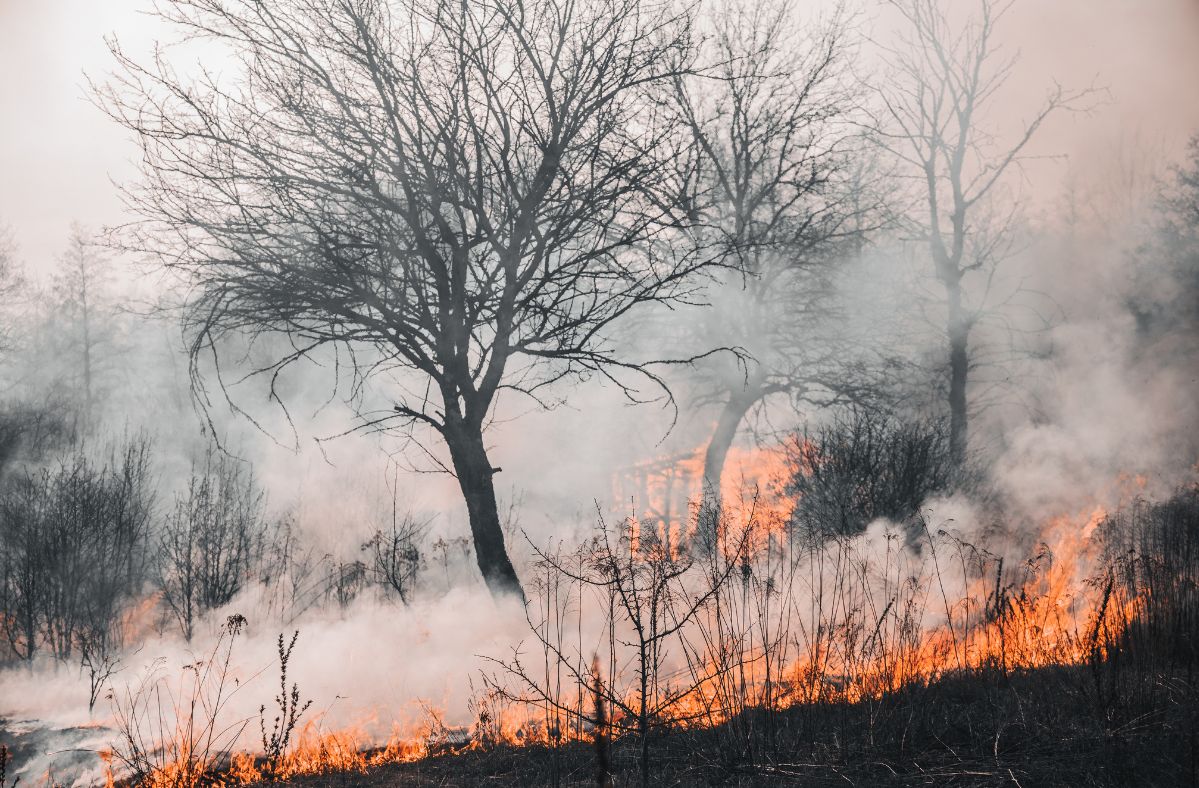 Fires are troubling the United States.