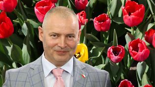 Zaskakujący pomysł posła KO. Żąda przeniesienia Dnia Matki