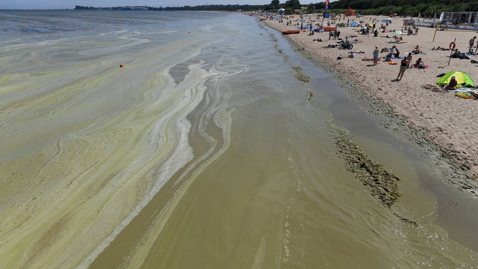Zakaz kąpieli nad Bałtykiem. Wróciły sinice