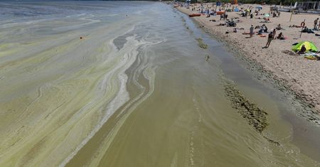 Pomorskie. Zamknięte sześć kąpielisk. Wróciły sinice