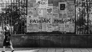 Akcja Bürkl. Tak zlikwidowano największego kata Pawiaka