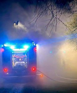 Tragiczny pożar w Kozłówku. Zginęła 30-latka