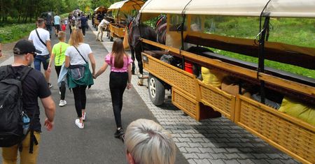 Nawet 20 zł drożej niż rok temu. Mimo to chętnych na kurs do Morskiego Oka nie brakuje