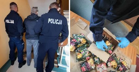 Weszli przez dziurę w ścianie. Kolejni szabrownicy zatrzymani