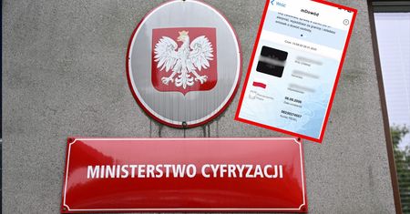 "Kilka aktywnych ofert sprzedaży takiej aplikacji". Resort zapowiada masowe akcje