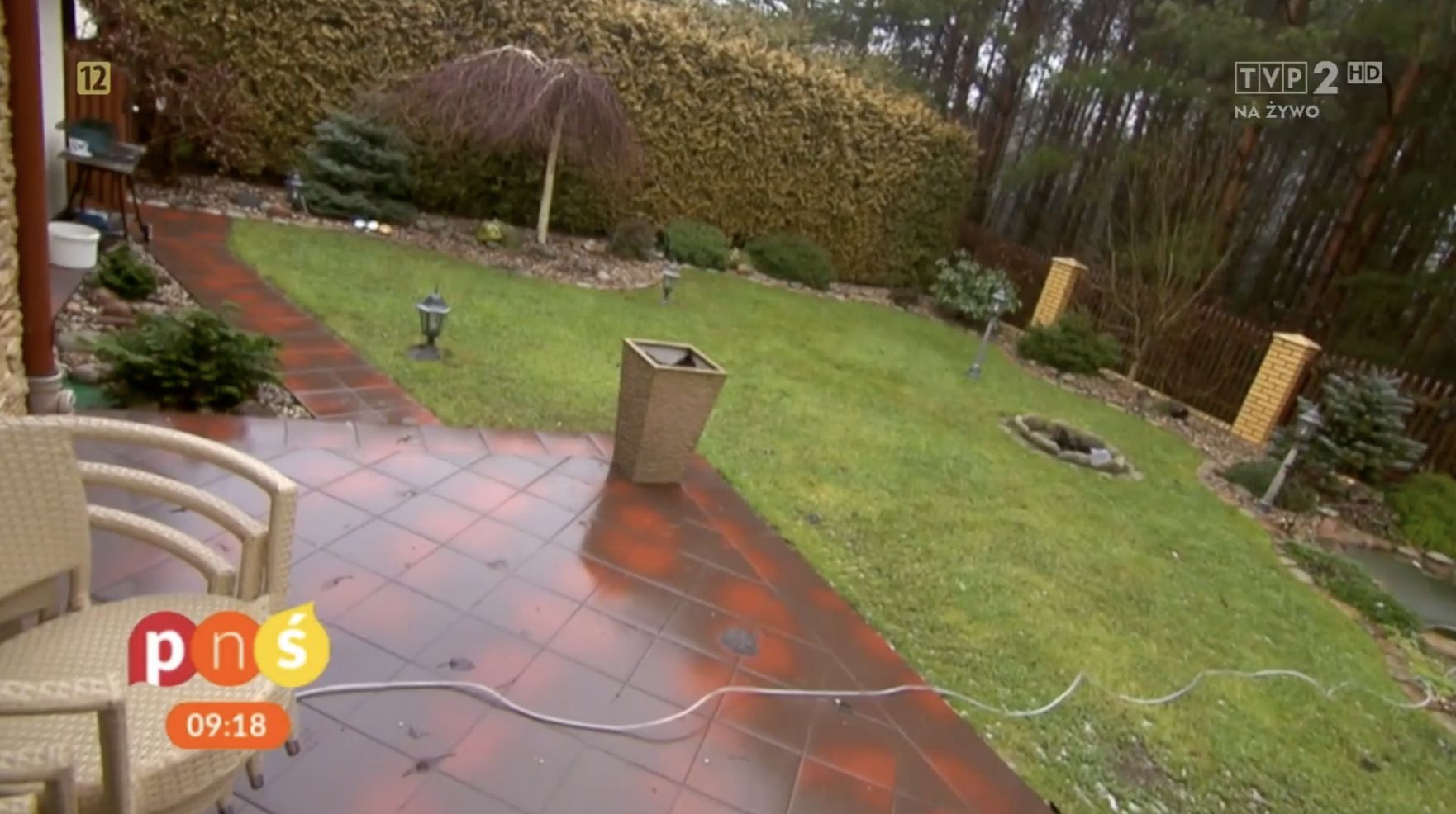 Ogród Zenka Martyniuka