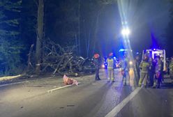 Poważny wypadek pod Warszawą Auto kompletnie zniszczone