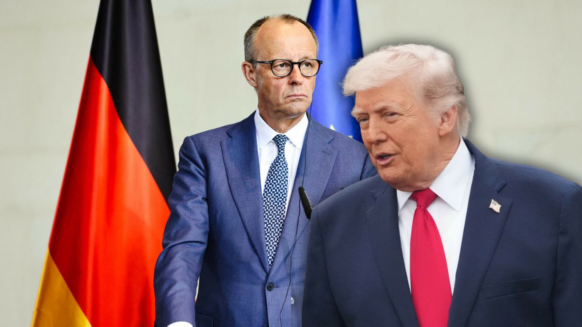 Friedrich Merz, Donald Trump