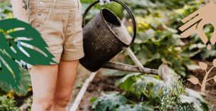 Własny ogród warzywny, czyli jak oszczędzić pieniądze i chronić środowisko naturalne