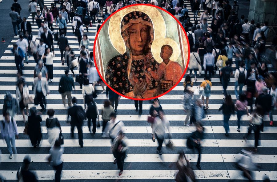 A zebra crossing may destroy Polish families? Częstochowa on high alert