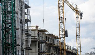 Osiem pokoi i dwie łazienki na 88 m2. Tak się zarabia na wynajmie