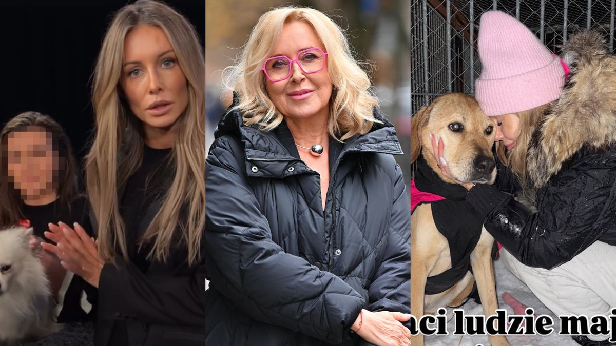 Gwiazdy reagują na zamknięcie schroniska w Sobolewie!