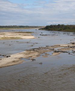 Tak źle jeszcze nie było. Antyrekord na Wiśle