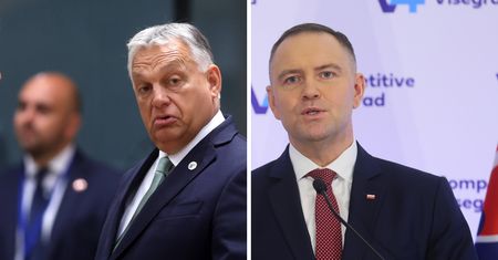 Nawrocki nie spotkał się z Orbanem. Co sądzą o tym Polacy?