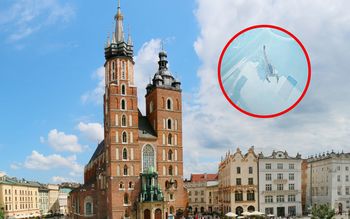 Znaleźli go na ścianie w Krakowie. "Niecodzienny turysta"