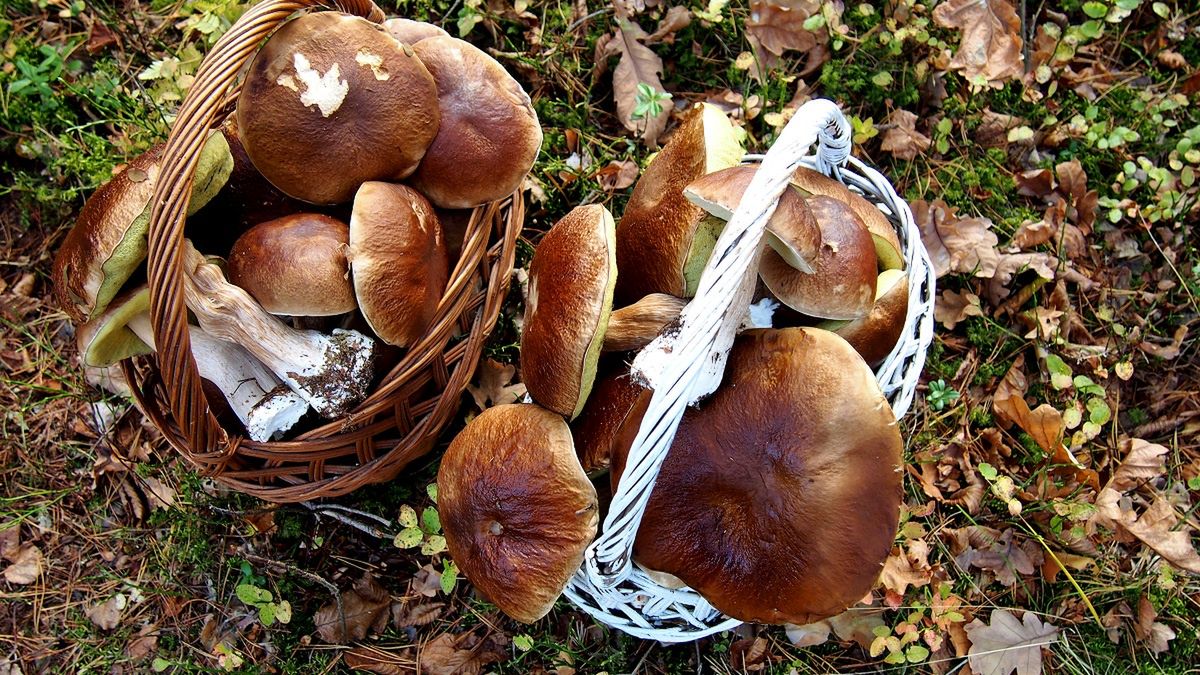 Zdjęcie ilustracyjne.