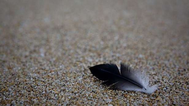 Nowe możliwości WebP Google'a. Czy ten standard grafiki zdobędzie popularność? 1