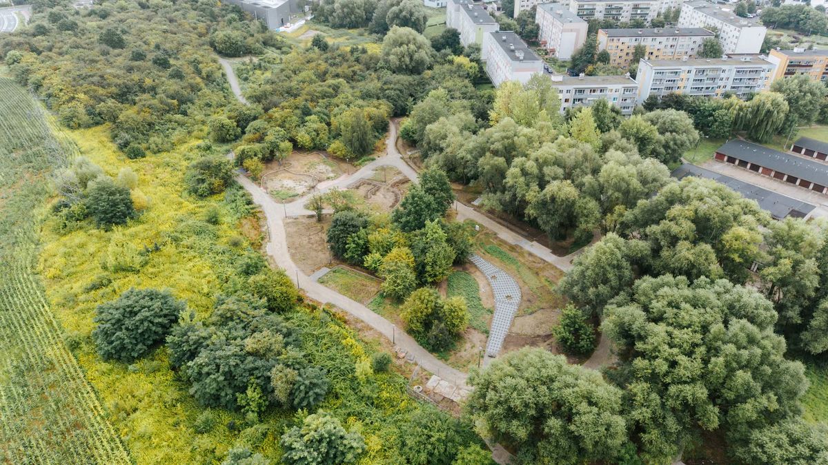 Park na Międzytorzu w Płocku 