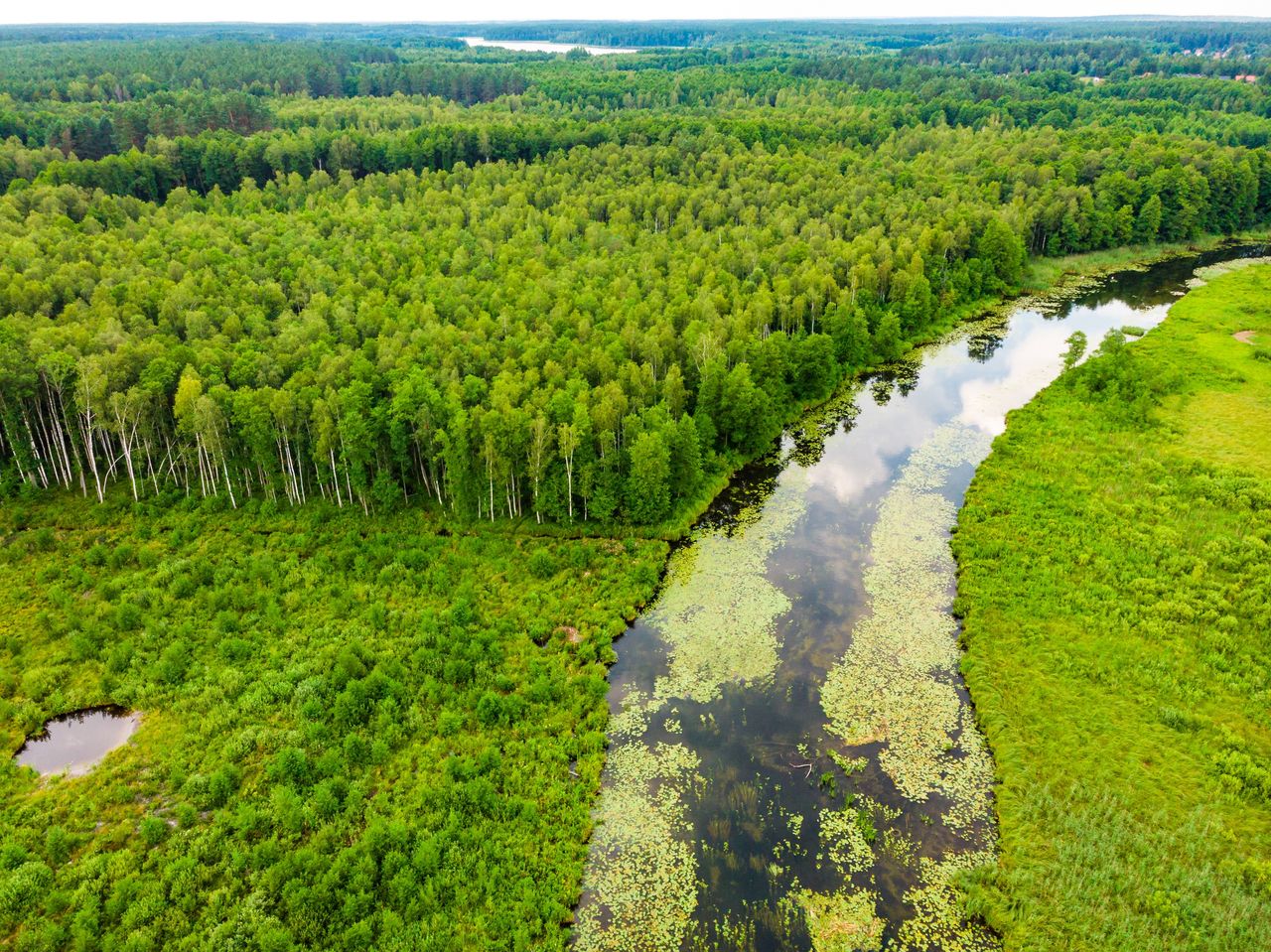 Spływ kajakowy Krutynią. Jedna z ciekawszych atrakcji na Mazurach