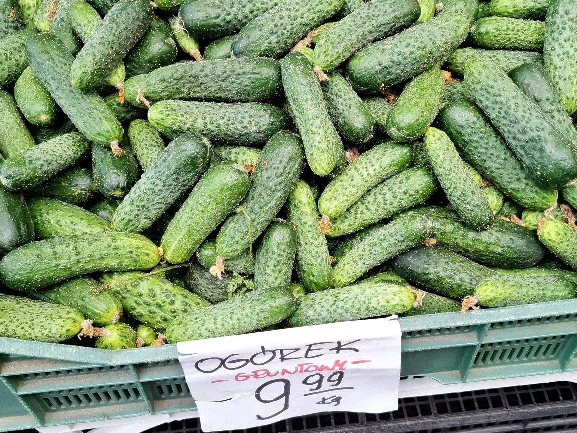 Powraca Legnickie Święto Ogórka. Konkurs na przetwory i dorodne warzywa