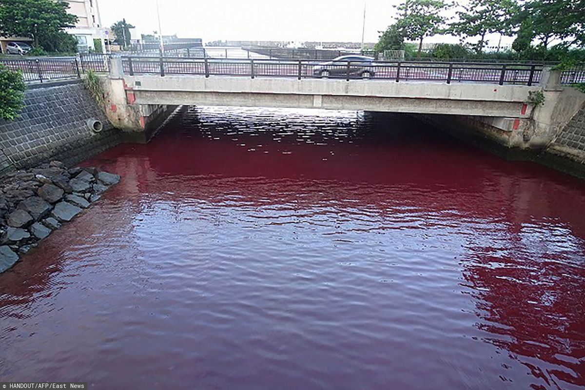Czerwona woda szybko wzbudziła sensację w lokalnych mediach. Spekulowano, czy nie doszło do skażenia chemicznego i czy przebywanie w okolicach zbiornika jest bezpieczne.