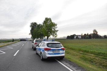 Wypadek koło Malborka. Kierowca zginął po uderzeniu w drzewo
