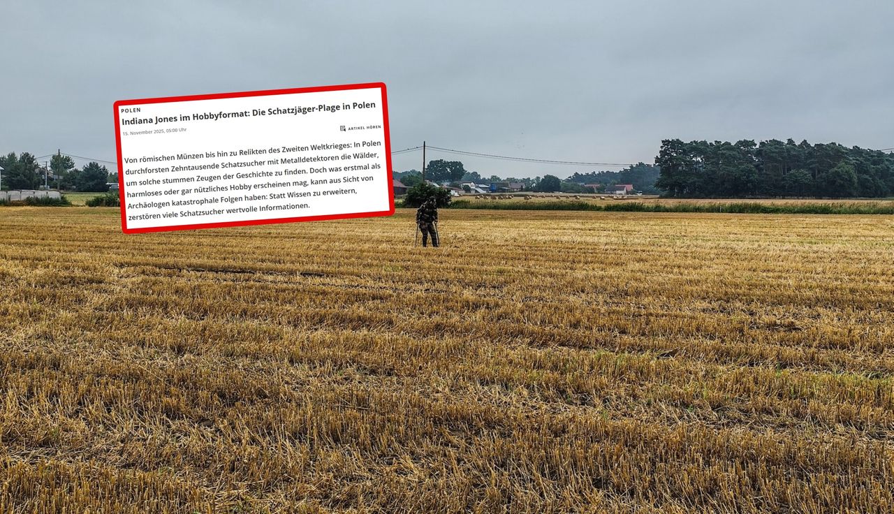 Niemcy piszą o pladze w Polsce. "Eksperci ostrzegają"