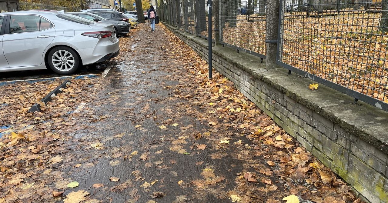 Łódź: Liście na chodnikach. Kto odpowiada za ich sprzątanie?
