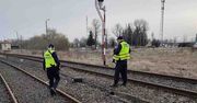 Szprotawa: Funkcjonariusze SOK udaremnili kradzież przewodów ze stacji