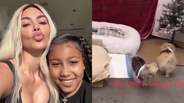 Kim Kardashian zorganizowała legowisko dla psów w garażu