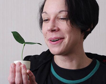 Roślinka, z którą można porozmawiać! (Wideo)