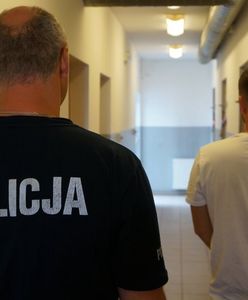 Śląskie. Nie reagował na sygnały patrolu. Ucieczka pirata drogowego z Czech