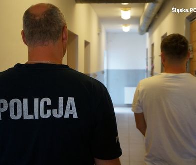 Śląskie. Nie reagował na sygnały patrolu. Ucieczka pirata drogowego z Czech