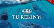 Tu rekiny!